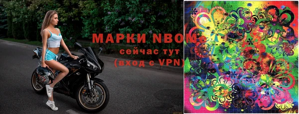 гашик Аркадак