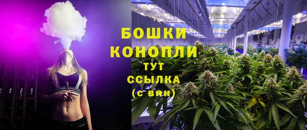 гашик Аркадак