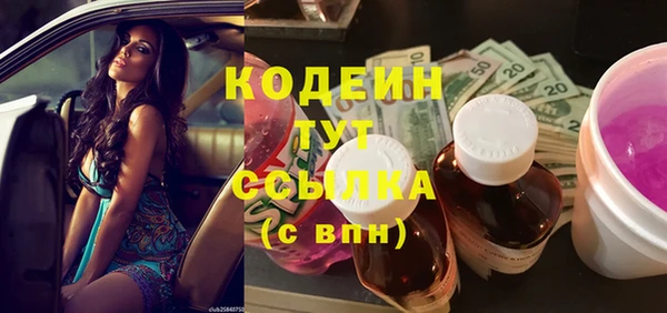 гашик Аркадак