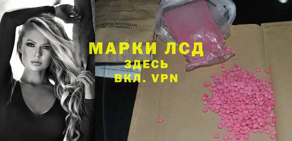 гашик Аркадак