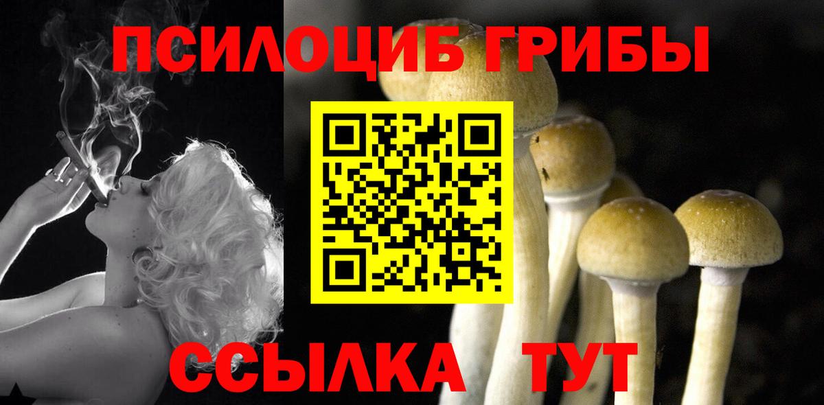 Галлюциногенные грибы мицелий  Вход с VPN  Рыбинск 