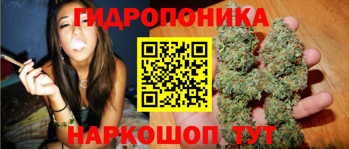 Канабис конопля Рыбинск
